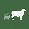 Back of the Flock