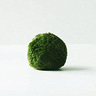moss & marrow