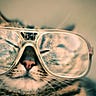 Hacking Data Science