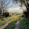 The Writing Path