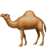 Hump 🐪 Days