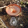 Copper Vortex