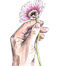 Draw Your World