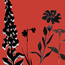 The Digitalis Archives
