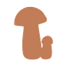 Personal Mycology
