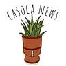 casoca news