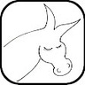 The Mule
