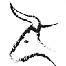 Aurochs, Arthur, and the Anvil