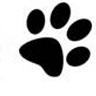Animal in Harmony