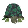 The Tortoise by Brooke McAlary