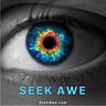 Seek Awe