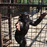 The Anti-Empire Project Newsletter
