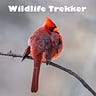 Wildlife Trekker