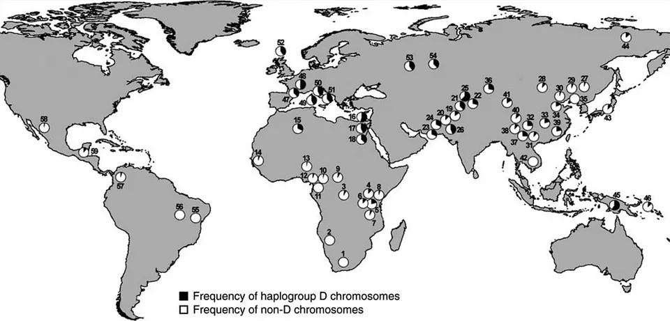 Worldwide distribution of the latest ASPM variant. It seems to be most frequent in populations with a longer history of reading and writing, particularly if the writing system uses sound-based characters (Mekel-Bobrov et al., 2005).