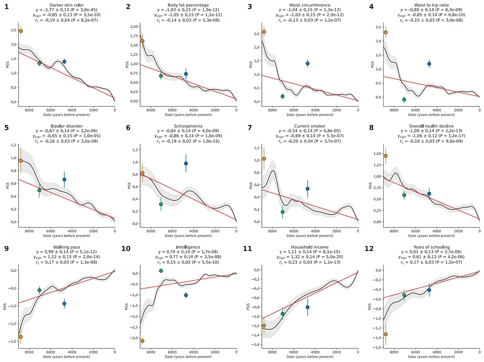 Graph showing evidence of natural selection for several traits in ancient West Eurasian populations: Western Hunter-Gatherers (orange), Early European Farmers (green), and Steppe Pastoralists (blue). From the study by David Reich et al. (2024).