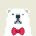 Twitter avatar for @BitBearPromoter