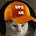 Twitter avatar for @CryptoHerpesCat