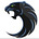 Twitter avatar for @Panther7112
