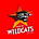 Twitter avatar for @PerthWildcats