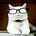 Twitter avatar for @catturd2