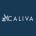 Twitter avatar for @gocaliva