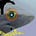 Twitter avatar for @jwherrman
