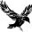 Twitter avatar for @riddle_me_raven