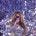 Twitter avatar for @BeyonceHiveNews
