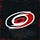 Twitter avatar for @Canes