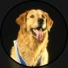 Twitter avatar for @AIRBUD