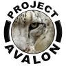 Twitter avatar for @AvalonForum