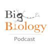 Twitter avatar for @Big_Biology
