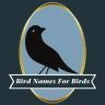 Twitter avatar for @BirdNames4Birds
