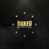 Twitter avatar for @BoxeoMundial