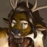 Twitter avatar for @BrunoHirschkoff