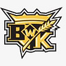 Twitter avatar for @BwkCapital