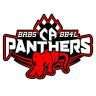 Twitter avatar for @CA_pantherBABS