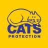 Twitter avatar for @CatsProtection