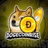 Twitter avatar for @DogecoinRise