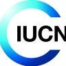 Twitter avatar for @IUCN_business