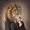 Twitter avatar for @Investing_Lion