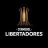 Twitter avatar for @LibertadoresBR