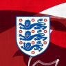 Twitter avatar for @Lionesses