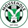 Twitter avatar for @MouseholeAFC