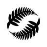 Twitter avatar for @NZ_Football