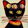 Twitter avatar for @PrivaCat