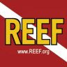 Twitter avatar for @REEF_org