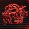 Twitter avatar for @RGVVipers