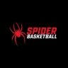 Twitter avatar for @SpiderWBBall