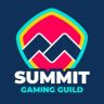 Twitter avatar for @SummitGGuild